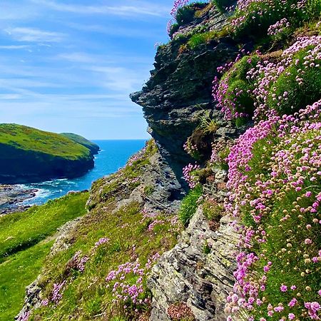 Polrunny Farm Blackberry Cottage - Cornwall Bliss In Sight Of The Sea Боскасл Екстер'єр фото