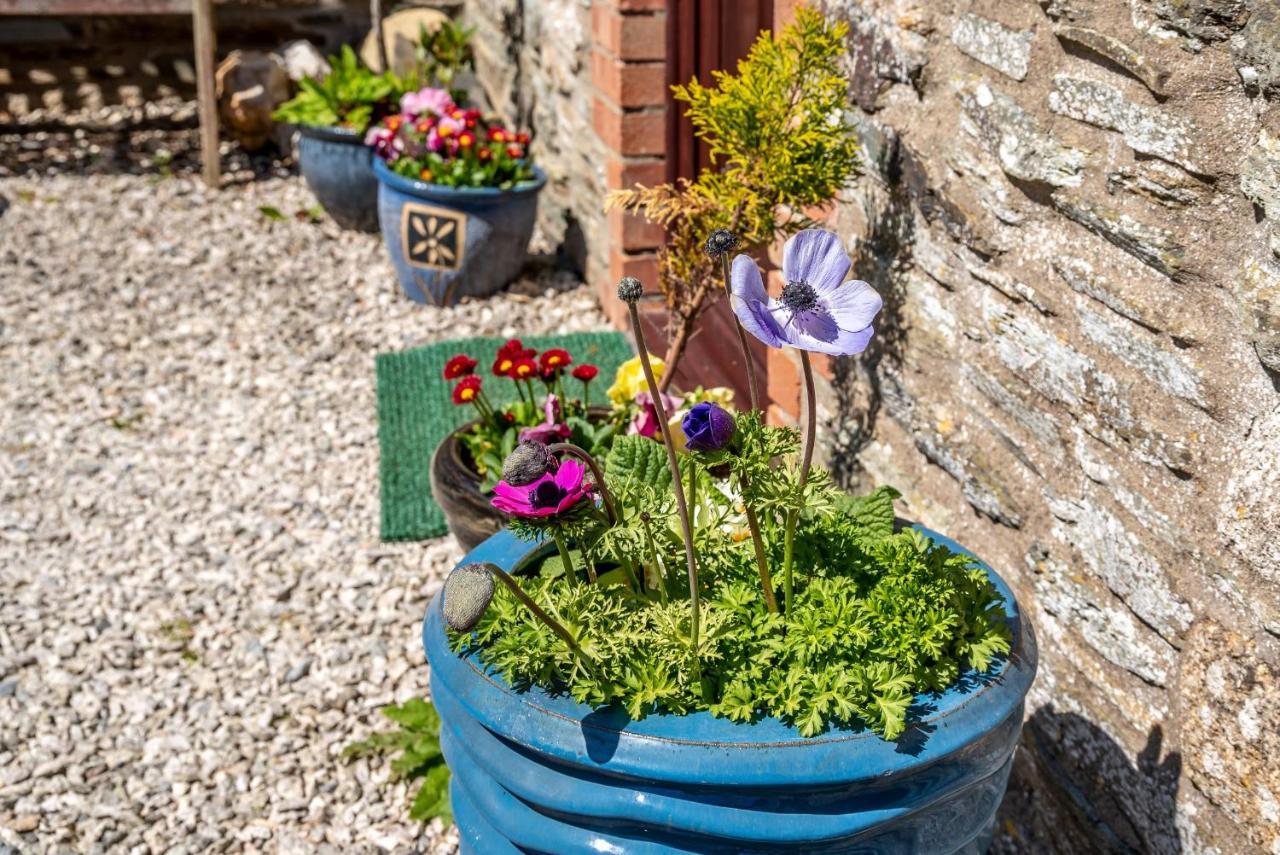 Polrunny Farm Blackberry Cottage - Cornwall Bliss In Sight Of The Sea Боскасл Екстер'єр фото