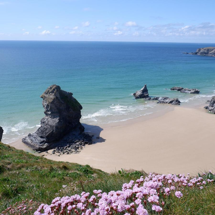 Polrunny Farm Blackberry Cottage - Cornwall Bliss In Sight Of The Sea Боскасл Екстер'єр фото
