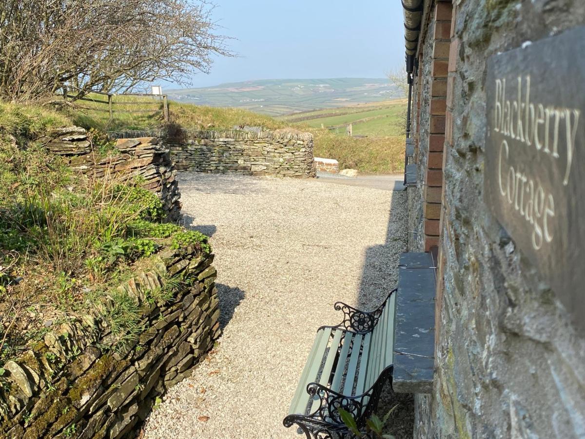 Polrunny Farm Blackberry Cottage - Cornwall Bliss In Sight Of The Sea Боскасл Екстер'єр фото