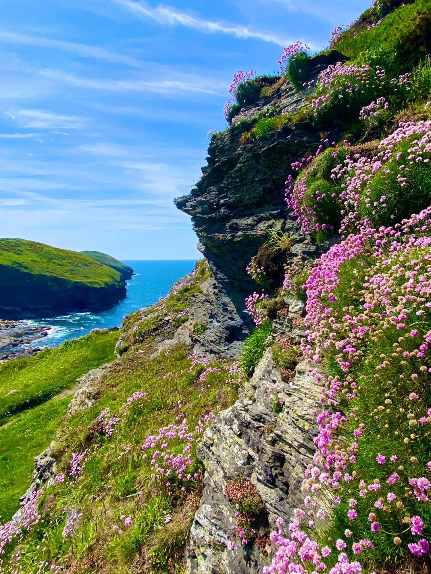 Polrunny Farm Blackberry Cottage - Cornwall Bliss In Sight Of The Sea Боскасл Екстер'єр фото